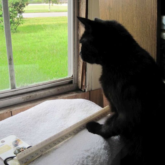 * Welcome to my Closet. Please Read! *  ~ Meet your Posher, Gina - Picture 5 of 16